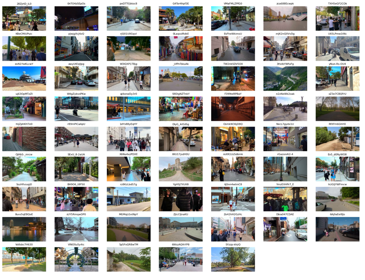 Dataset Examples: City Walk Videos