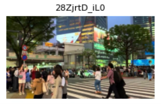 Original Video Frame