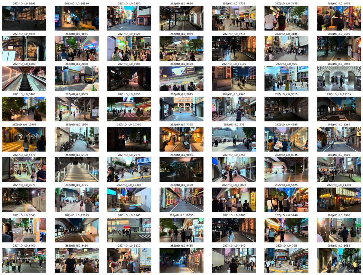 Processed Clips Montage